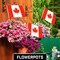 G128 12 Pack Handheld Canada Canadian Stick Flags | 12x18 In | Printed 150D Polyester, Country Flag, Solid Wooden Stick, Spear Gold Tip